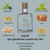 FeliciS Gin - Der glückliche London Dry Gin - GiNFAMILY